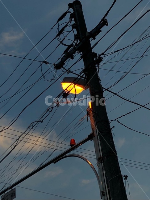 케이블,cable,전봇대,전등,가로수,가로등,하늘,노을,저녁