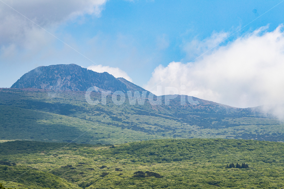 제주도,한라산,백록담,정상,산,고지대,jeju,hallasan,mountain,baengnokdam,top,summit,hilly,hill,hillside,highland,산정,arbor