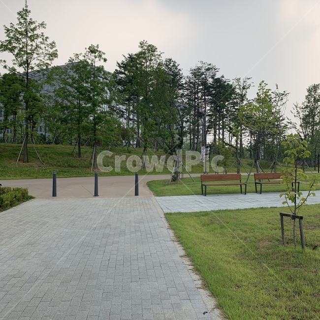 공원,서울식물원,나무,길,산책