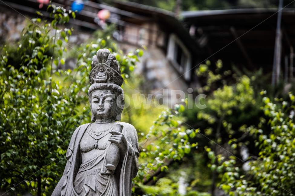 종교,불교,석가모니,천수관음,석가탄신일,religion,buddhism,한국전통,한국문화,korean traditional,korean culture,조각상,동상,석상,조형물,statue,bronze statue,stone statue,종교,신앙,religion,belief,faith