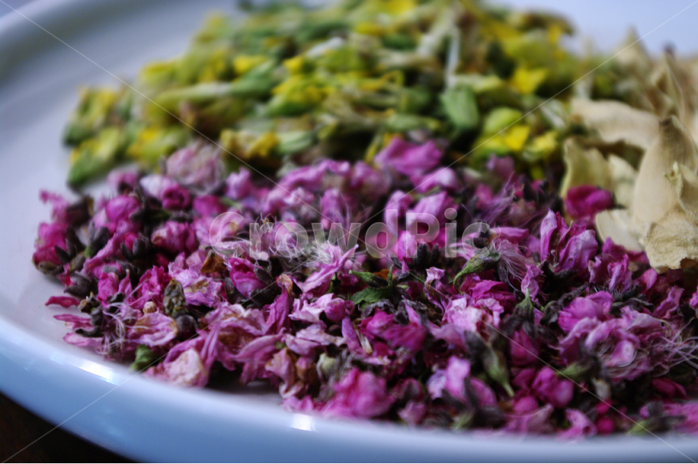 꽃,포푸리,꽃잎,꽃향,potpourri,color,꽃,flower