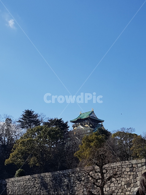 일본,오사카,오사카성,풍경,하늘,나무