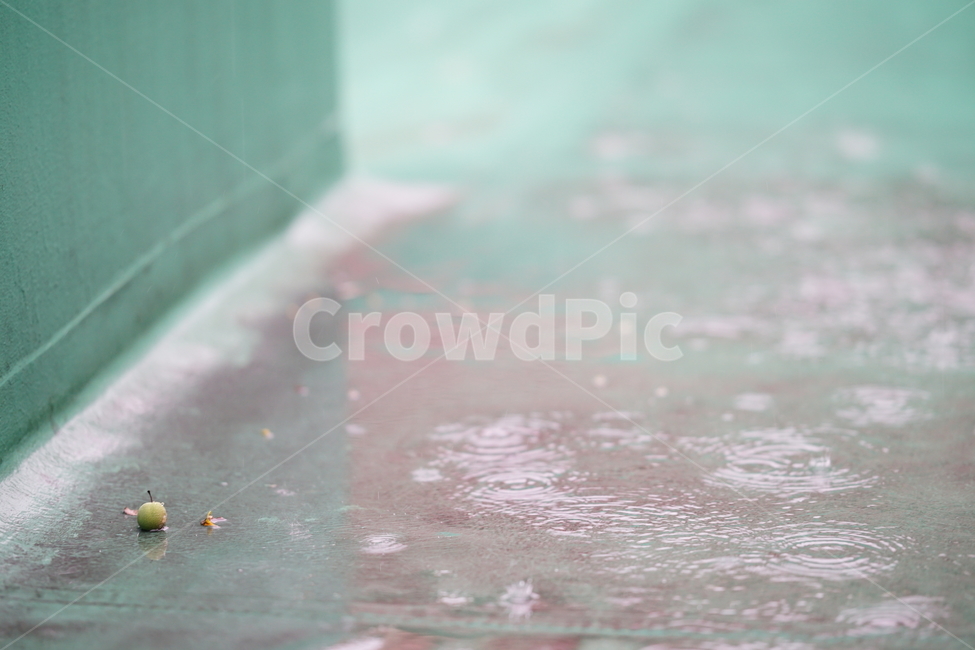 비,빗소리,빗물,감성,감성사진,장마,여름,장마철,rain,물방울,물,날씨,비,비오는날,rain,rainy