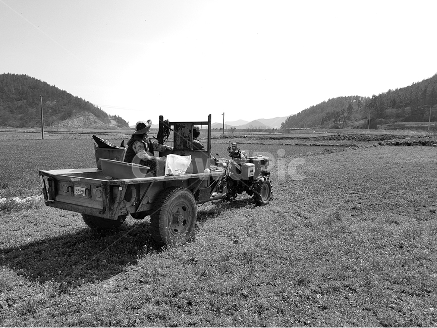 시골,고향,흑백사진,경운기,노동,밭일,시골,마을,풍경,landscape,country,rural,town,사람,인물,인간,human,person,흑백,모노톤,monochrome,black and white,산업,industry,industrial,농업,농사,agriculture,farming,farming industry