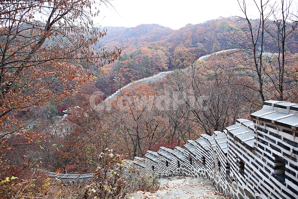 남한산성,성,성곽,단풍,낙엽,길,둘레길,담,돌담,가을,자연,풍경,벽,울긋불긋,산성,식물,가을,계절,fall,autumn,season,한국전통,한국문화,korean traditional,korean culture,nature,outdoors,옥외