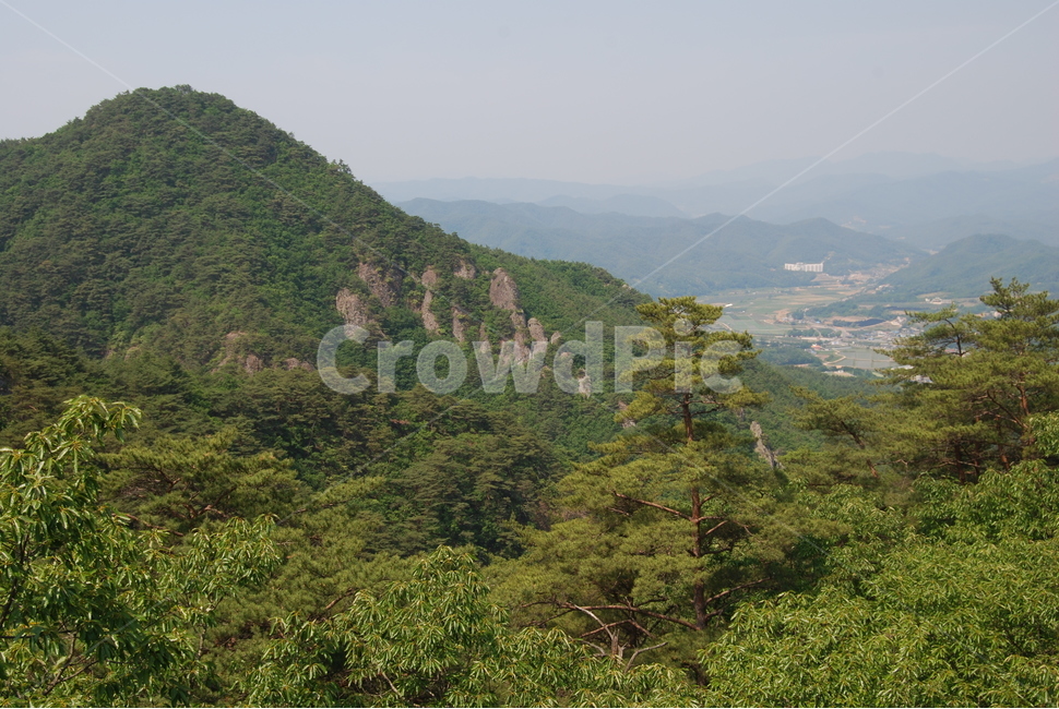 산,나무,tree,nature,trail,자연,풍경,nature,landscape,outdoors,옥외,hill,언덕