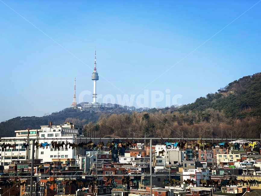 서울,남산,남산타워,경치,힐링,도시,city,view,seoul