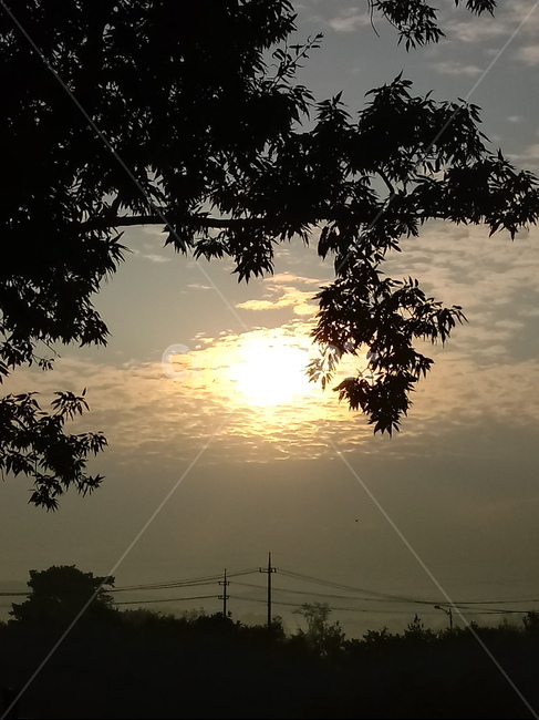 하늘,구름,태양,아침햇살,자연,nature,cloud,sky,sunlight,햇빛,자연,풍경,nature,landscape,flare,플레어,light,빛,outdoors,옥외