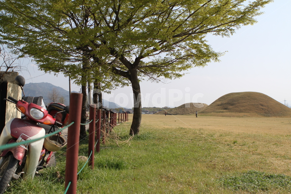 outdoors,옥외,grassland,목초지,field,들,시골,잎,구름,하늘,울타리,오토바이,나무,식물,풀,잔디