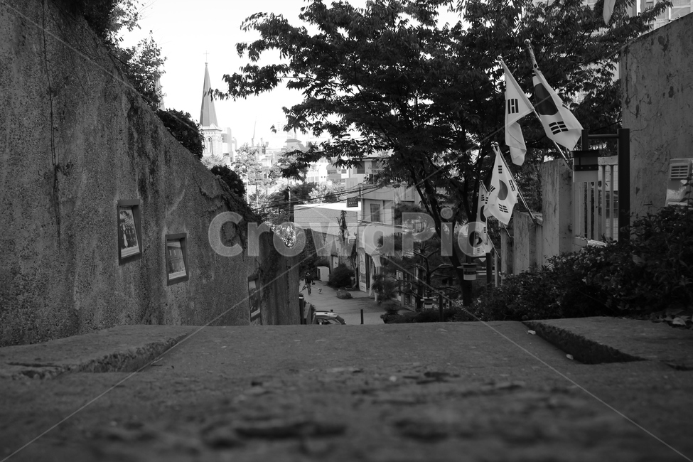 흑백사진,만세운동길,대구,청라언덕,흑백,언덕,태극기,역사,blackandwhite,cheongrahill,hill,taegeukgi,daegu,history,萬歲運動