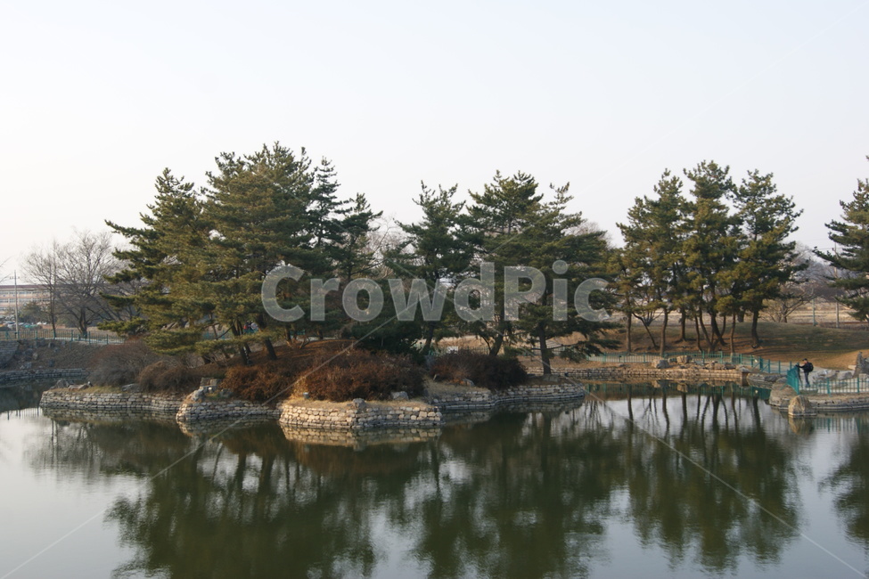 자연,풍경,landscape,nature,휴식,rest,season,가을,나무,강가,강,river,경주,한국