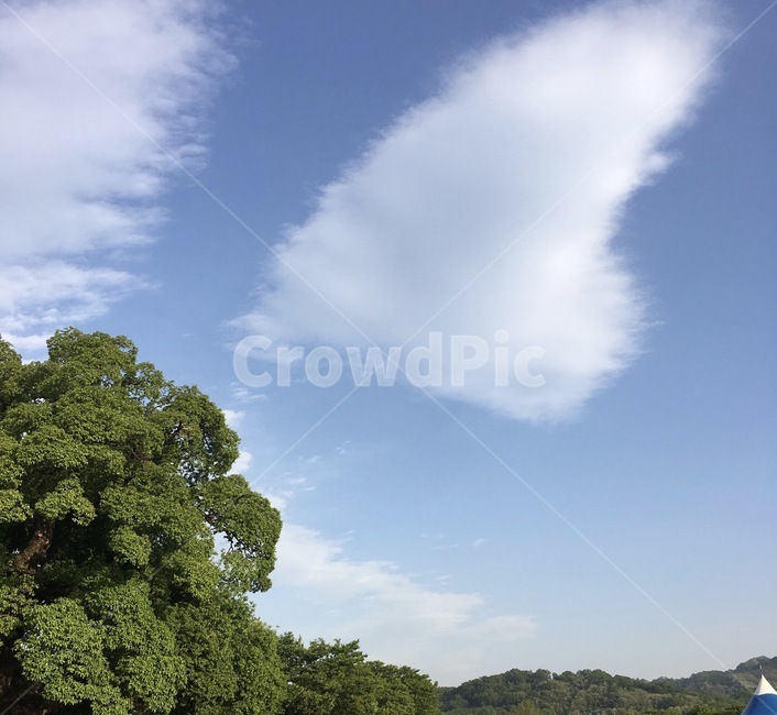 하늘,구름,하트,구름모양,cloud,sky,풍경