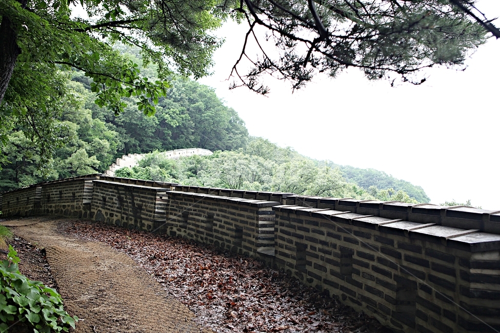 남한산성,성,성곽,길,둘레길,벽,숲,숲길,담,돌담,여름,풍경