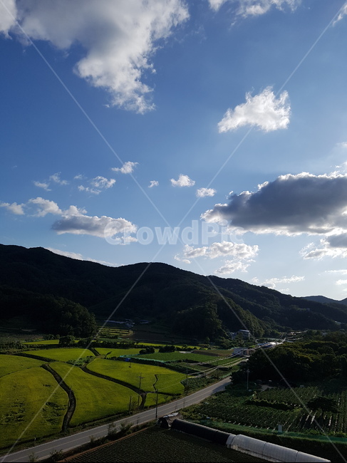 하늘,구름,논,농촌,산,자연,아산