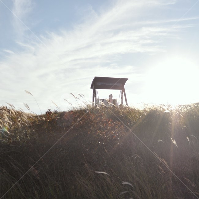 억새풀,햇빛,아련한,그네,하늘,합천,황매산,자연,풍경,nature,landscape,plant,식물,grass,잔디,light,빛,flare,플레어