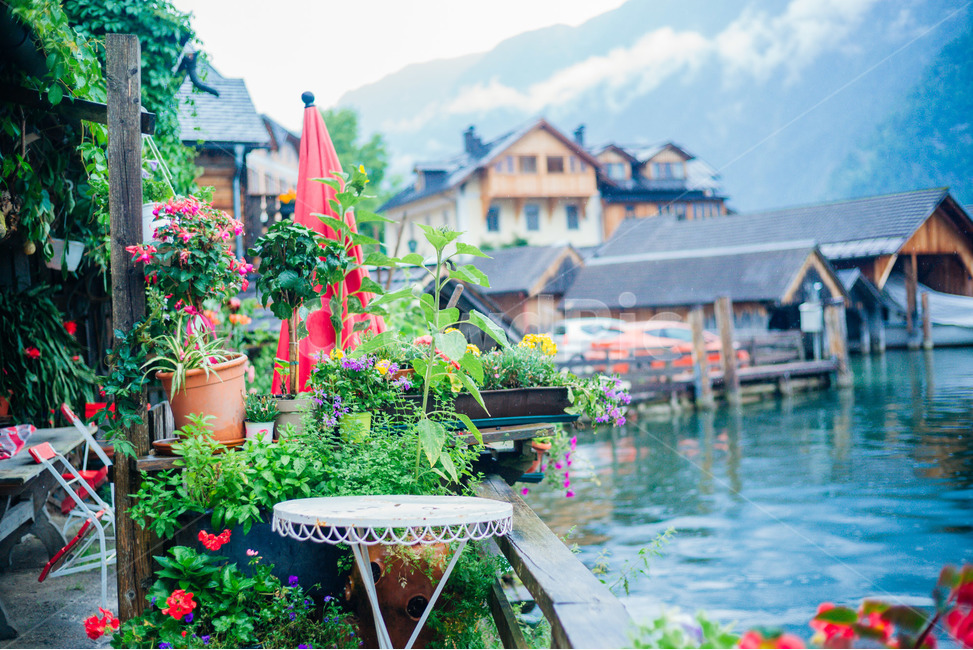 오스트리아,할슈타트,마을,호수,austria,flower,외국,해외,꽃,세계,world,lake,colorful,landscape,유럽,빗방울,비,소나기,rain,clowd,도시,풍경,city,landscape,해외,외국,세계,foreign,oversea,world,세계도시풍경,해외도시풍경,외국도시풍경,world cityscape,outdoors,옥외