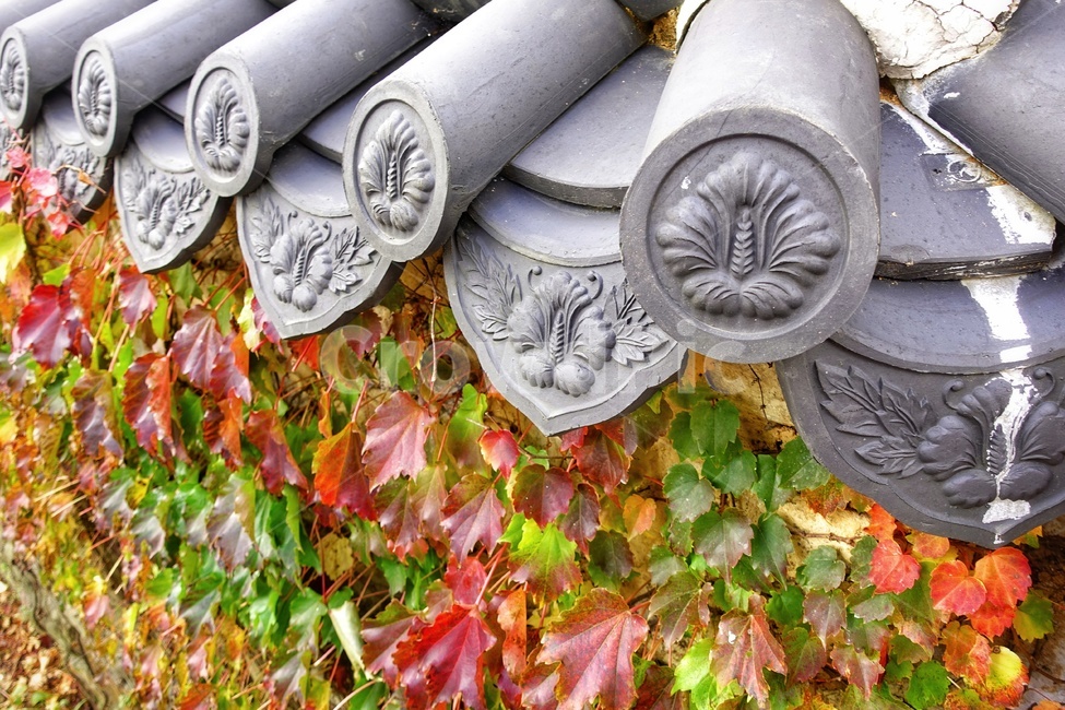 가을,풍경,하늘,색깔,계절,가을,계절,fall,autumn,season,한국전통,한국문화,korean traditional,korean culture,건축물,건물외관,exterior,building,structure,architecture,construction,plant,식물,leaf,잎