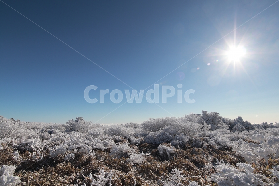 한라산,상고대,설산,겨울,겨울산행,눈꽃,진달래대피소,성판악,관음사,제주도,제주,백록담,겨울,계절,winter,season,자연,풍경,nature,landscape,한국자연풍경,한국자연경관,korea nature landscape,제주도,jeju,jeju island,ice,얼음,outdoors,옥외,snow,눈
