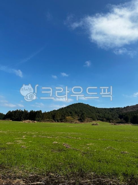 자연, nature, 목장, 들판, 풍경, 사진,이미지,일러스트,캘리그라피 - 짜리작가