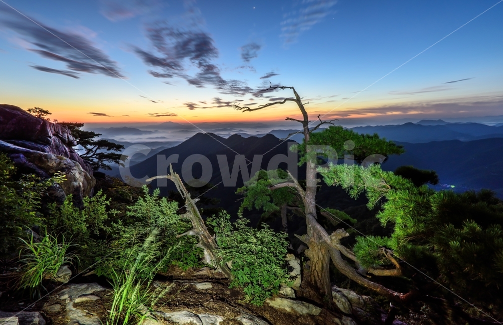 풍경,일출,산,대둔산,landscape,운해,자연,풍경,nature,landscape,outdoors,옥외,plant,식물,tree,나무,vegetation,초목