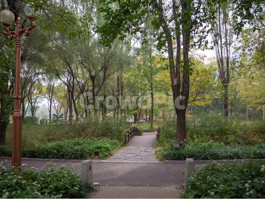 수목원,botanicalgarden,대구수목원,대곡수목원,자연,nature,나무,초록,오솔길,자연,풍경,nature,landscape,flagstone,판석,path,통로,tree,plant,식물