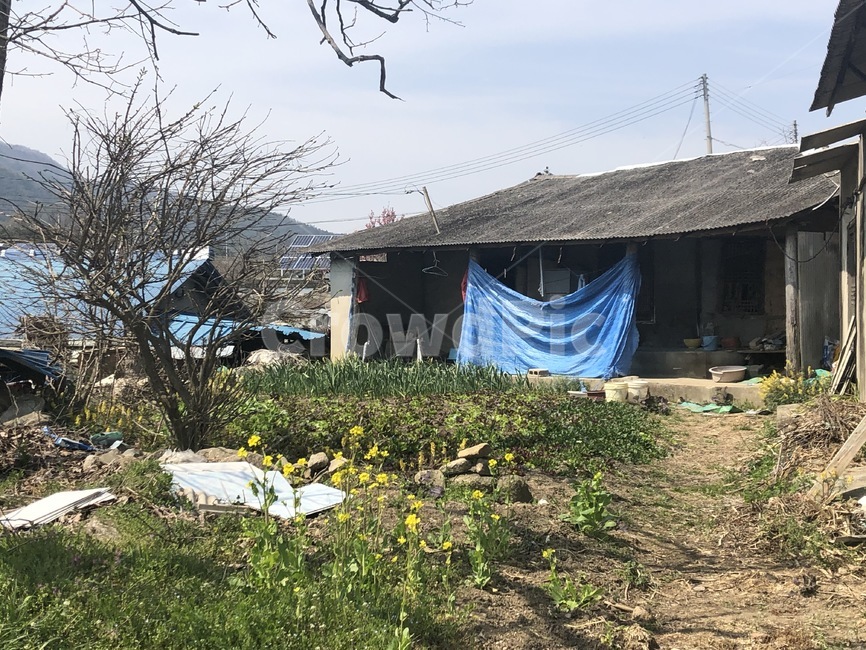 outdoors,nature,농촌,countryside,농가