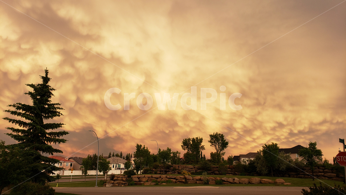 colud,자연,구름,옥외,노을,황금빛,캐나다,nature,sky,cloud,canada,golden,하늘