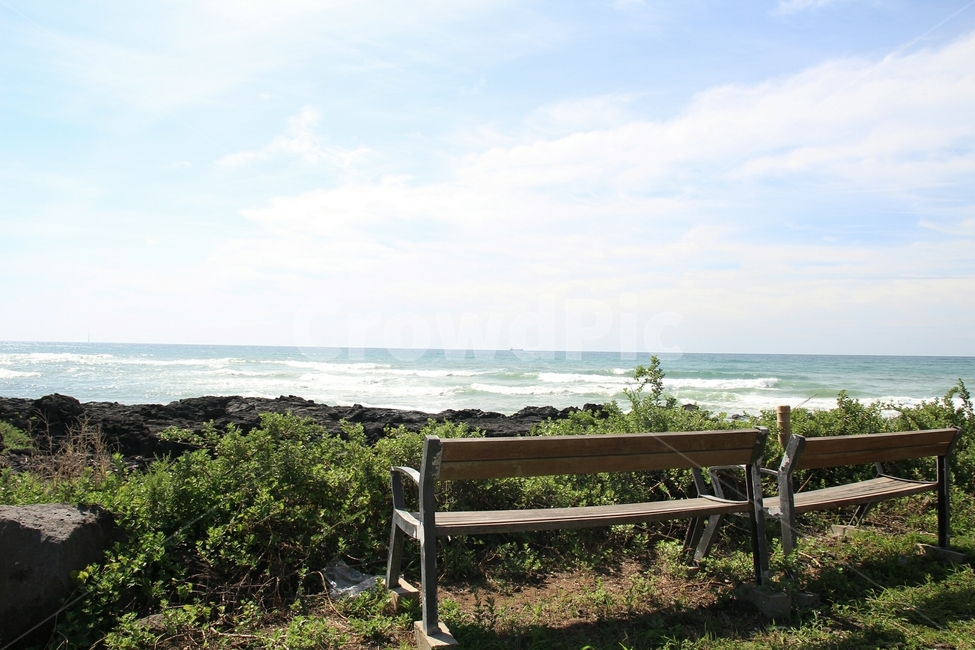 가구,bench,벤치,furniture,parkbench,제주도,자연,풍경,nature,landscape