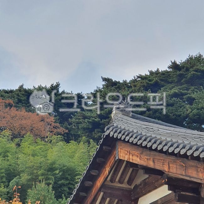 한국적, 절, 불교, 스님, 기와집, 사진,이미지,일러스트,캘리그라피 - 라뚜네사진관작가
