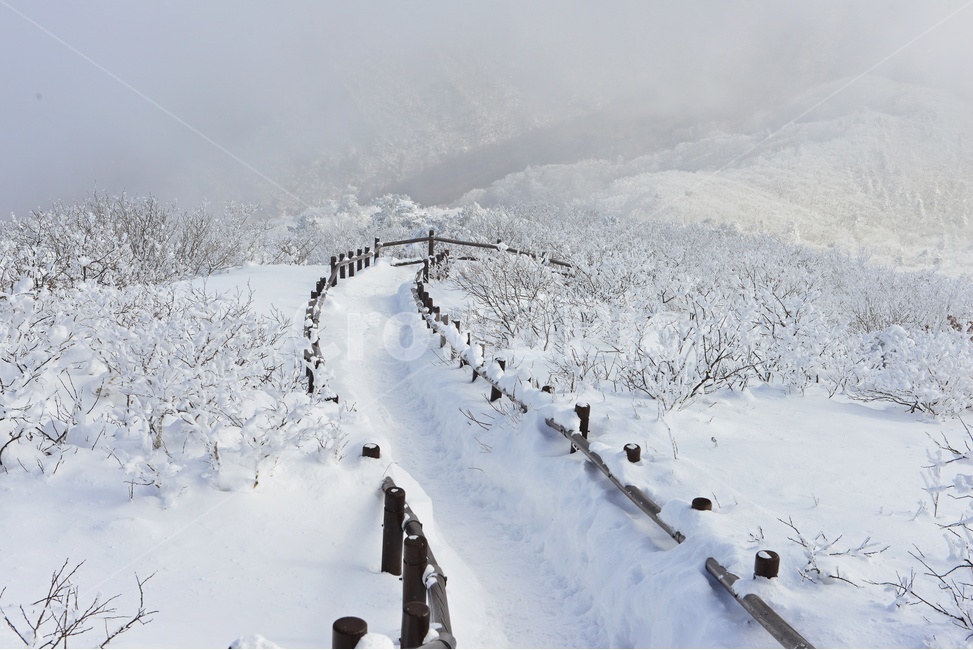 무주,덕유산,덕유산설경,운해,겨울,상고대,계절,향적봉,중봉,nature,자연,outdoors,옥외,snow,눈,ice,빙,slope,경사,mountain,산,mountainrange,산맥,겨울,계절,winter,season,자연,풍경,nature,landscape