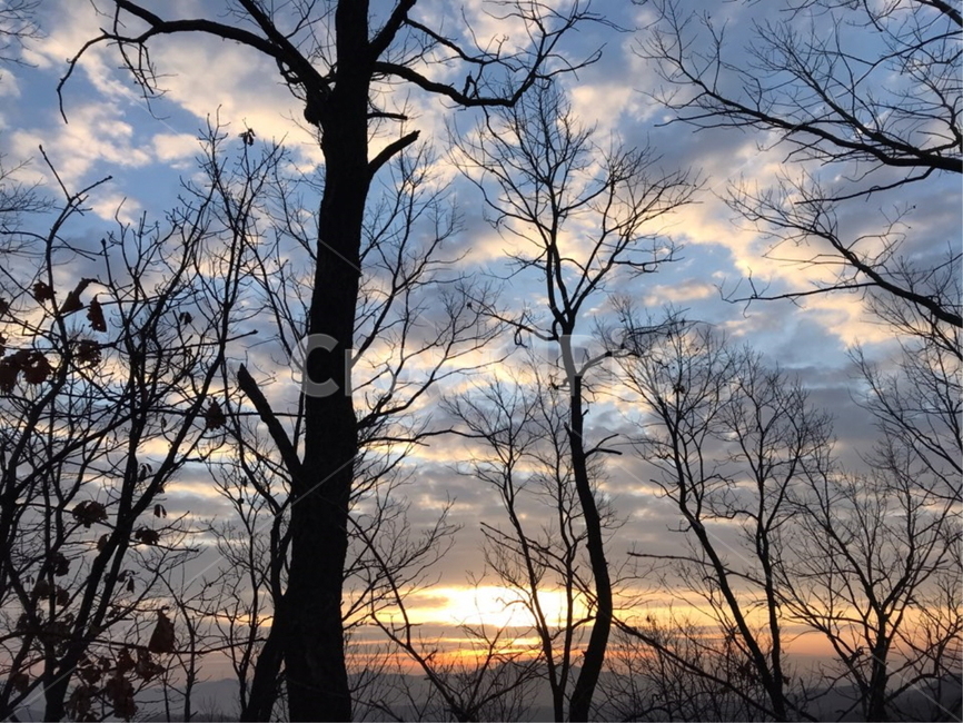 산,자연,나무,산행,해,해돋이,등산,신년,자연,풍경,nature,landscape,tree,plant,식물,outdoors,옥외