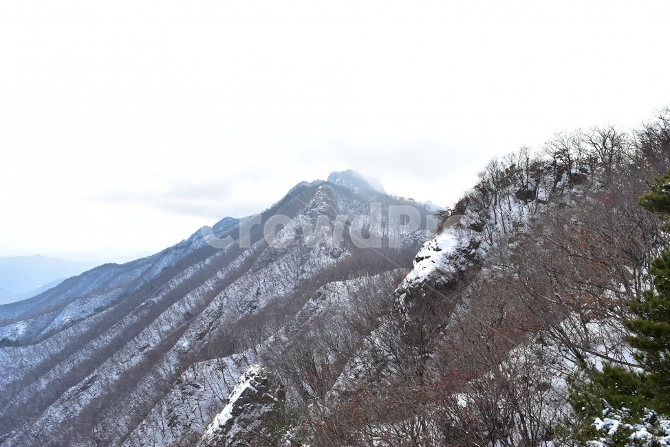 계룡산,국립공원,겨울,풍경,설경,산행,Korea,Nationa,Park,눈풍경,눈,자연,스포츠,등산,nature,snow,느낌,아름다운,신비로운,경이로운,다큐,필,힐링,명산landscape,winter,season,자연성릉,암릉,능선,비경,겨울,계절,winter,season,자연,풍경,nature,landscape,한국자연풍경,한국자연경관,korea nature landscape,plant,식물,tree,나무,fir,전나무,abies,아비,outdoors,옥외,mountain,산,mountain range,산맥