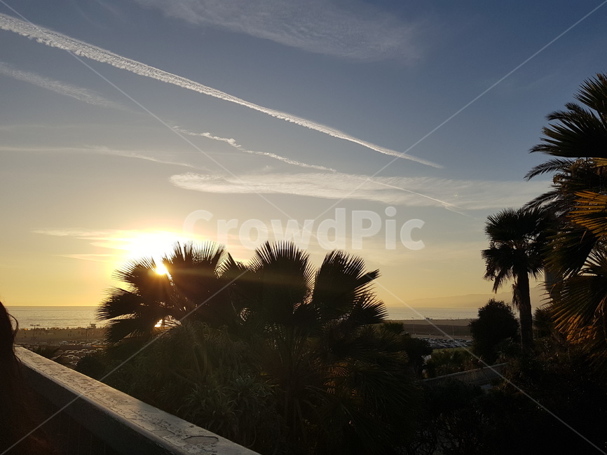 la,산타모니카,해변,석양,하늘,바다,야자수,sunset,santamonica,beach,sky,palmtree,자연,풍경,nature,landscape,flare,플레어,light,빛