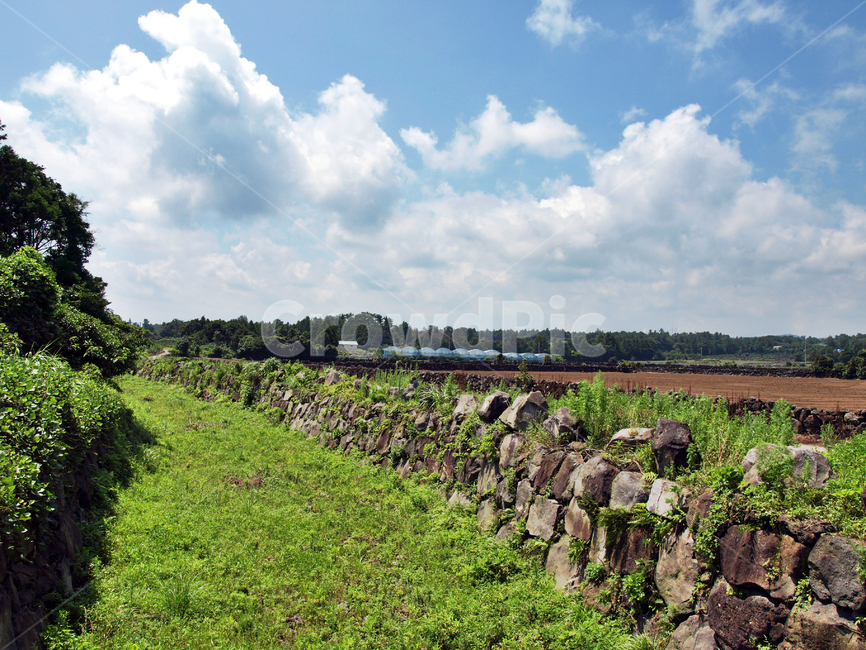 천변길,돌담,올레3코스,올레,제주,서귀포,밭,올레길,자연,풍경,nature,landscape,제주도,jeju,jeju island,rubble,파편,wall,벽