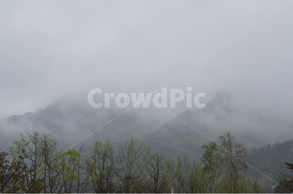 용봉산,흐림,안개,나무,낮,구름,자연,풍경,nature,landscape,weather,날씨,outdoors,옥외,fog,mist