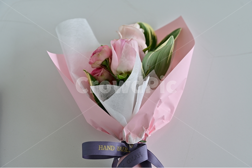 장미,꽃,rose,flower,들장미,분홍색장미,분홍색꽃,꽃다발,꽃,flower,기념일,축하,anniversary,congratulation,celebrate,celebration