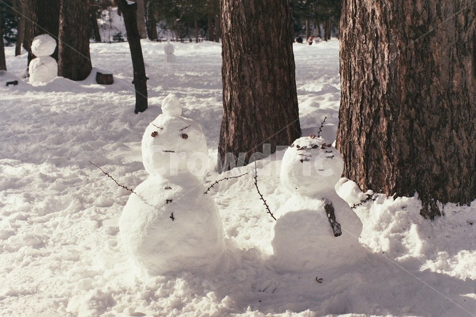 눈,눈사람,겨울,귀여운,필름,snow,snowman,winter,cute,film,자연,nature,옥외,outdoors,가족,family,겨울,계절,winter,season