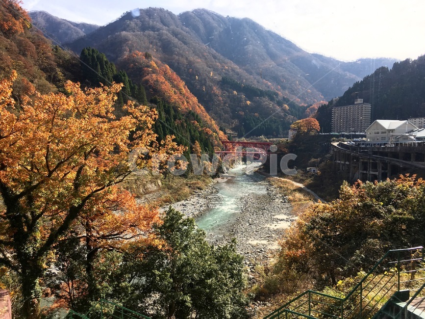 nature,자연,outdoors,mountain,산,가을,강,풍경,단풍,자연,풍경,nature,landscape