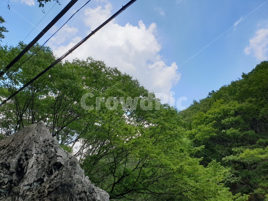 산,구름,파랑,bluesky,녹색초록,green,자연풍경,여름,나무,숲