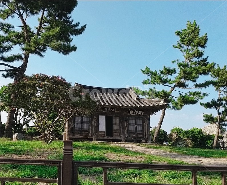 자연,초록,기와집,전통가옥,한국전통,나무,하늘,sky,tree,nature,북평해암정,해암정,동해,누각,조선시대,추암