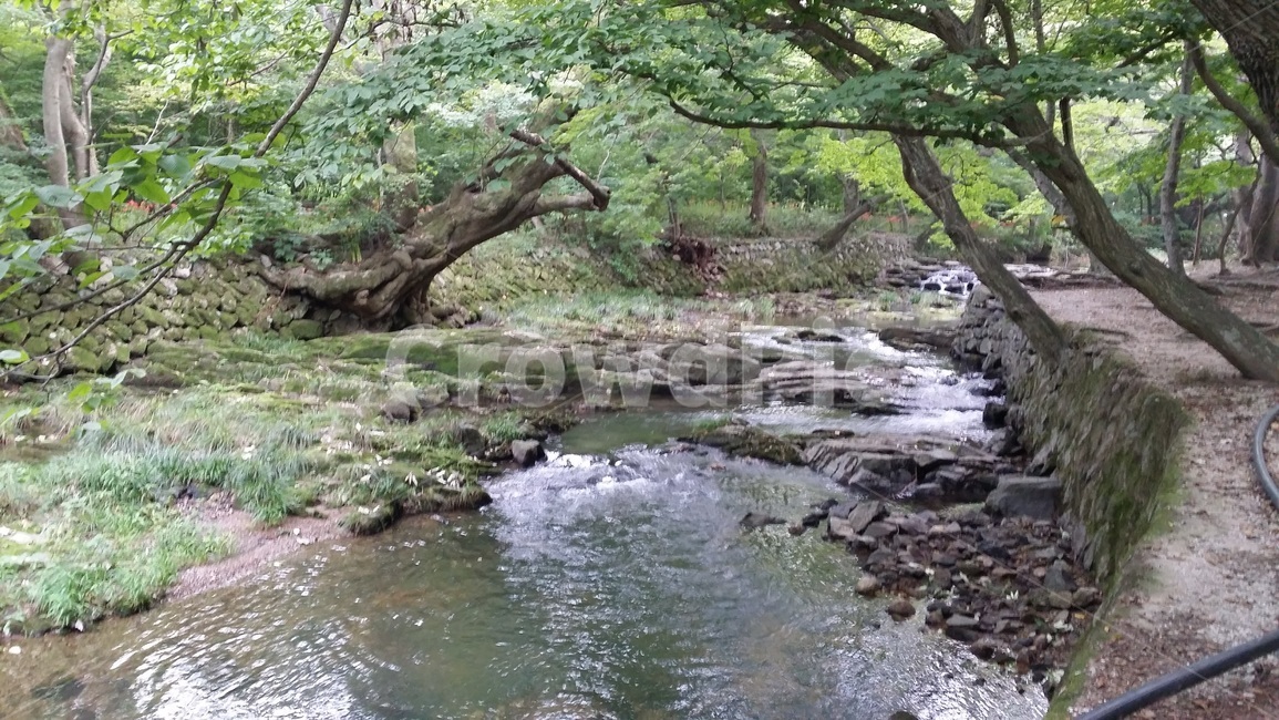 계곡,나무,맑은,valley,계곡풍경,숲속,산책,계곡물,자연,풍경,nature,landscape,water,물,outdoors,옥외,creek,작은 만,stream,흐름,tree,plant,식물,vegetation,초목