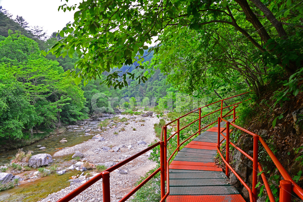 힐링,둘레길,숲길,자연,계곡,풍경,철교,신록,초록,나무,숲,길,산촌,시즌,계절,그린,forest,season,healing,남녀,흙길,등산객,6월,싱그러운,청정,공기,산소길,air,nature,plant,빨강색,물,시원한,숲그늘,맑은,무공해,청정지대,오염없는,다리,자연,풍경,nature,landscape,한국자연풍경,한국자연경관,korea nature landscape,건축물,건물외관,exterior,building,structure,architecture,construction,banister,난간,handrail,railing