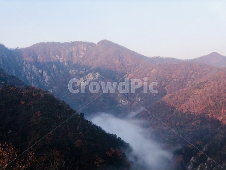 산,내장산,구름,안개,하늘,단풍,아침,가을,계절,fall,autumn,season,자연,풍경,nature,landscape,outdoors,옥외,mountain