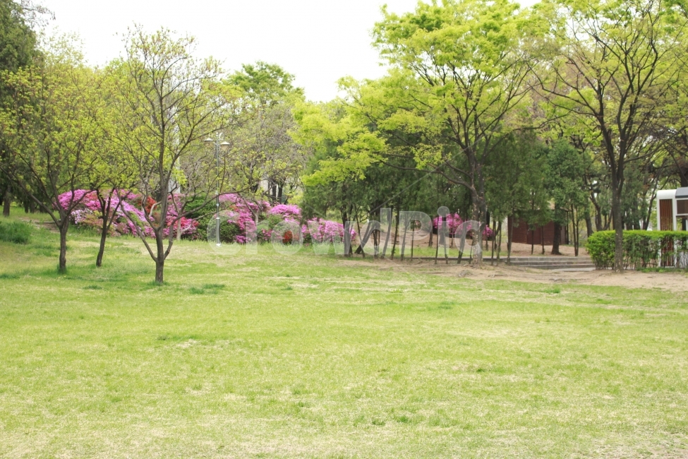 들판,자연,봄,파릇,배경,자연,풍경,nature,landscape,한국자연풍경,한국자연경관,korea nature landscape,plant,식물,grass,잔디,outdoors,옥외,park,공원,lawn