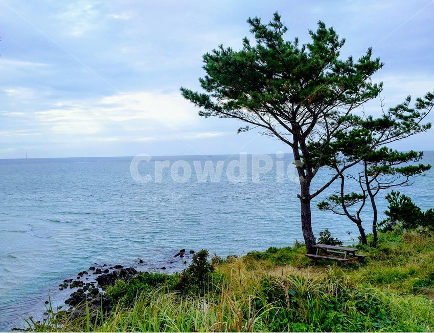 해안절벽,바다절벽,휴식,조용한,고요한,해안가,해변가,바다,sea,shore,beach,tree,나무,나무의자,chair,silent,수평선,horizon,vacation,휴양지