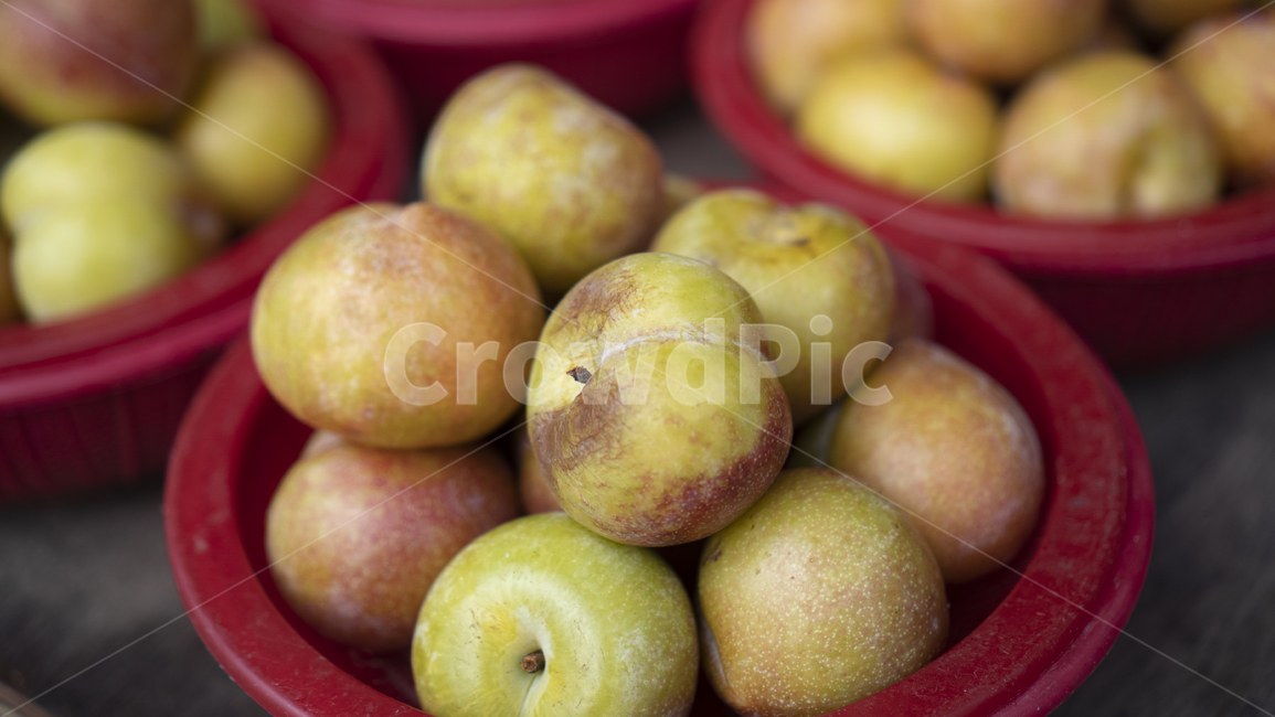 plant,식물,food,식품,fruit,과일,자두,소쿠리,시장음식,음식,식재료,요리,food,cook,meal,dishes,food reserves,과일,열매,fruit