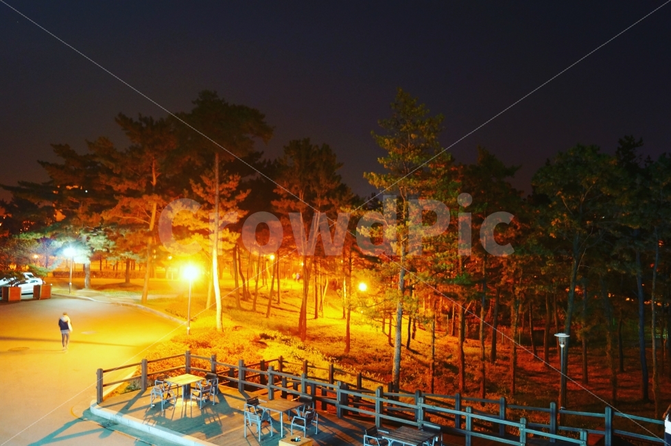 대학교,편의점,나무,야경,벤치,자연,자연,풍경,nature,landscape,야경,밤,nightscape,night