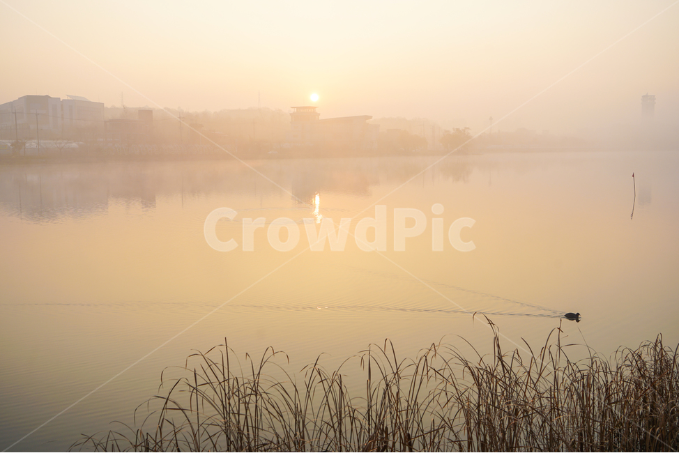 호수,안개,여명,새벽,자연,풍경,물안개,자연,풍경,nature,landscape,weather,날씨,outdoors,옥외