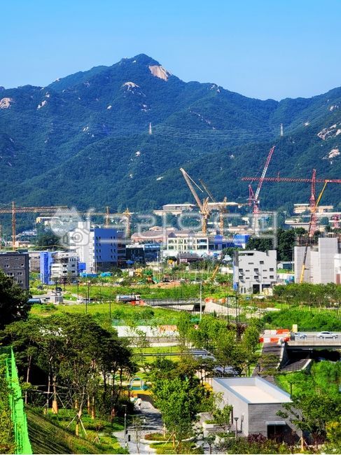 숲,산,도심,도시와산,산과도시,건설현장,도시,신도시