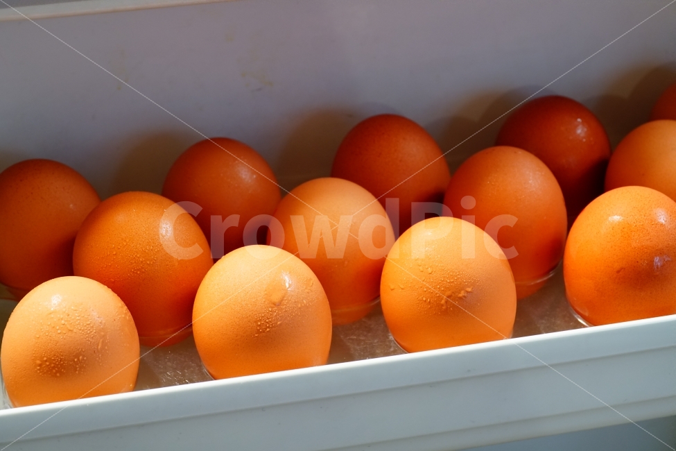 egg,objects,concept,recipe,animal nature,verdure,freshness,side dish,preservation,bite,ingredients,cooking,kitchen,kitchen utensils,Frozen storage,cook,frozen,food ingredients,food,gyeol,dessert,keep,grocery,animated,fresh,refrigerator,thing,object